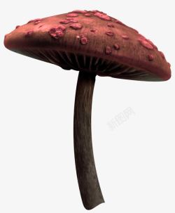 暗黑点缀魔幻魔化气氛蘑菇高清图片