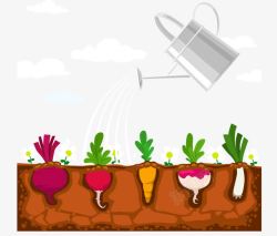 洒水壶免扣菜园被浇水的蔬菜矢量图高清图片