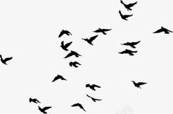 飞鸟图案黑色简约飞鸟高清图片