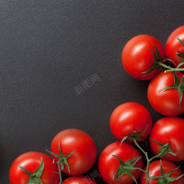 新老客户新鲜红色番茄背景摄影图片