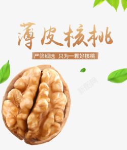 大个薄皮松子山核桃仁高清图片