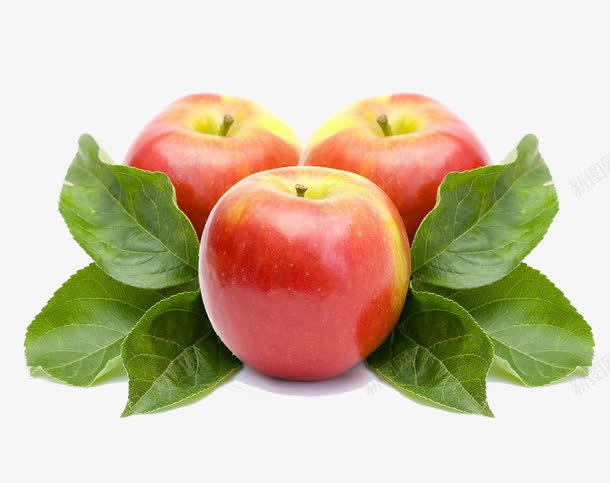 红苹果叶子水果png免抠素材_新图网 https://ixintu.com 叶子 水果 红苹果