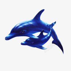 海底海豚素材
