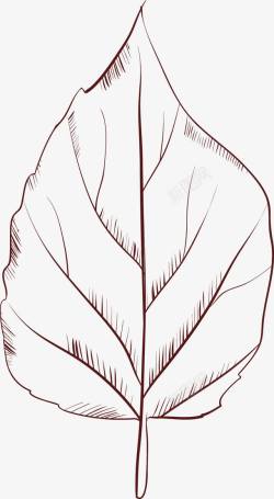 手绘男装设计一片树叶高清图片