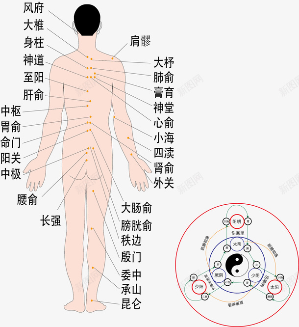 人体背部穴位经脉矢量图ai免抠素材_新图网 https://ixintu.com 人体经络 人体经脉 人体经脉图 人体设计 十二 卡通设计 古代经络图 手绘设计 矢量图 经络图 背部