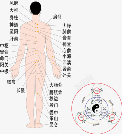 人体经脉图腿部人体背部穴位经脉矢量图高清图片