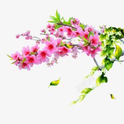 粉色桃花图案素材