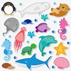 海洋哺乳动物海洋动物集合高清图片