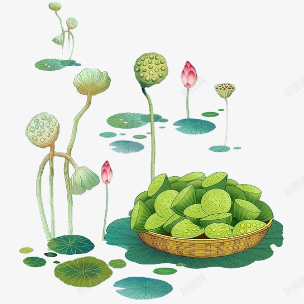 卡通创意植物psd免抠素材_新图网 https://ixintu.com 传统节气 创意 处暑 彩绘 手绘 植物设计 绿色 莲花