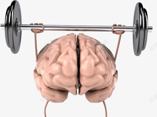 大脑运动举重png免抠素材_新图网 https://ixintu.com 举重 备考 大脑 大脑漫画 学习 爆发力 研究生 考研 考试 运动 锻炼