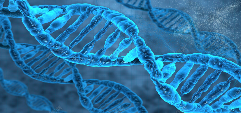 人体遗传DNA基因背景jpg设计背景_新图网 https://ixintu.com DNA 医疗 商务 基因 海报banner 深色背景 科幻 科技 科技感 科技风 遗传 高科技