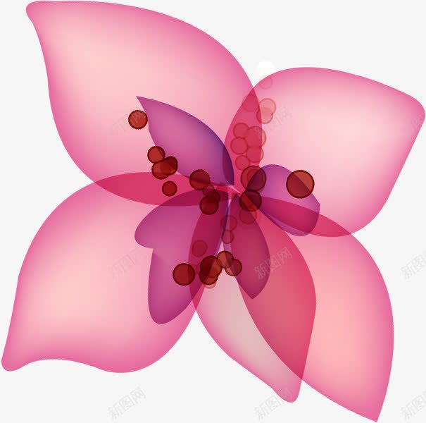 粉色花卉韩式手绘展板png免抠素材_新图网 https://ixintu.com 展板 粉色 花卉