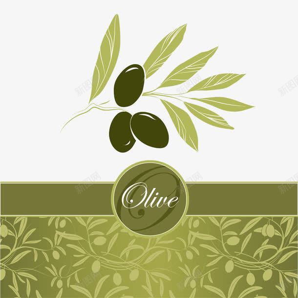 橄榄油标贴封面png免抠素材_新图网 https://ixintu.com 封面 标贴 橄榄 橄榄油