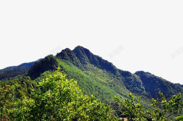 重庆永川茶山竹海风景矢量图eps免抠素材_新图网 https://ixintu.com 山水 旅游 重庆 风景 矢量图