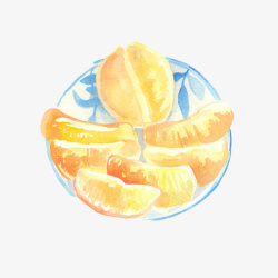 柚子手绘画片素材