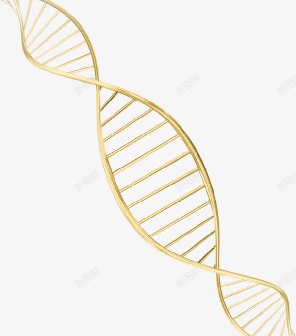 黄色清新DNA效果元素png免抠素材_新图网 https://ixintu.com DNA 免抠PNG 效果元素 清新 黄色