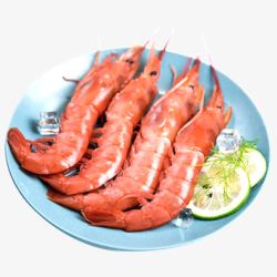 进口鲜活红虾高清图片