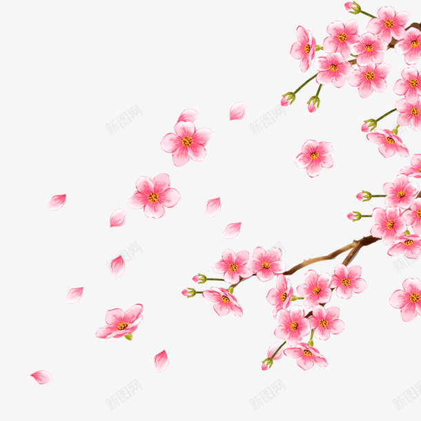 唯美桃花psd免抠素材_新图网 https://ixintu.com 唯美 唯美花朵 彩色 水彩画 粉色花朵 花朵 花瓣