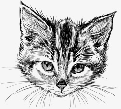 猫咪剪影手绘卡通猫速写猫咪矢量图高清图片