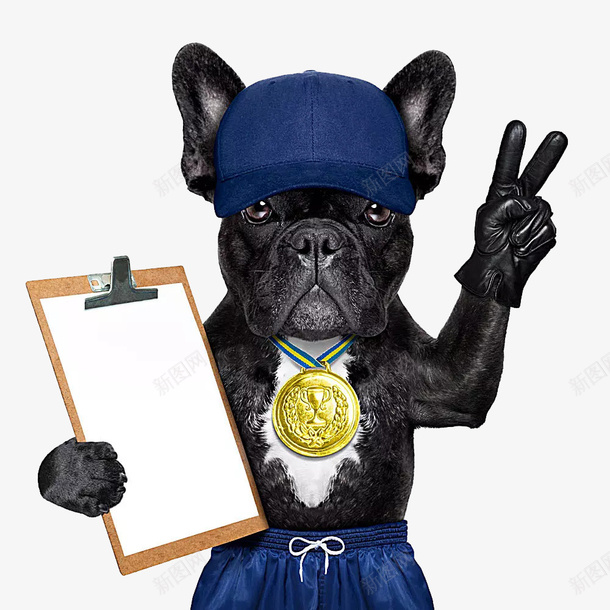 获得奖牌的黑色动物小狗png免抠素材_新图网 https://ixintu.com 动物 奖牌 小狗 帽子 获得 蓝色 金牌 黑色