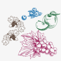 蓝莓合集水果合集矢量图高清图片
