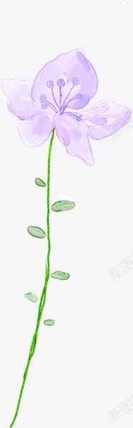 手绘紫色淡彩花卉展板png免抠素材_新图网 https://ixintu.com 展板 紫色 花卉