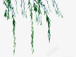 手绘水墨中国风柳树素材