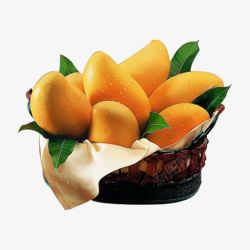 天然更营养一筐新鲜的芒果高清图片