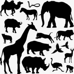 非洲的犀牛动物剪影高清图片
