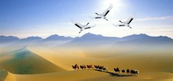 发展历程企业文化企业文化发展历程高清图片