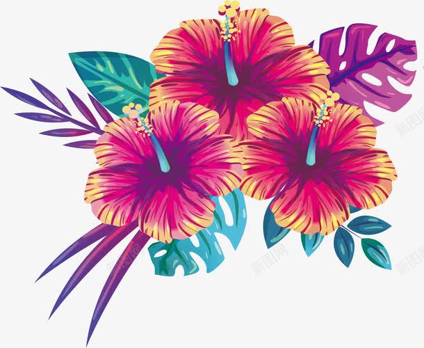 绽放的夏日花朵png免抠素材_新图网 https://ixintu.com 夏日派对 夏日花朵 热带植物 矢量png 绽放的花朵 美丽的花朵