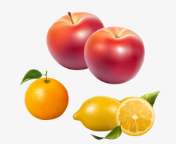 脐橙苹果和柠檬矢量图素材