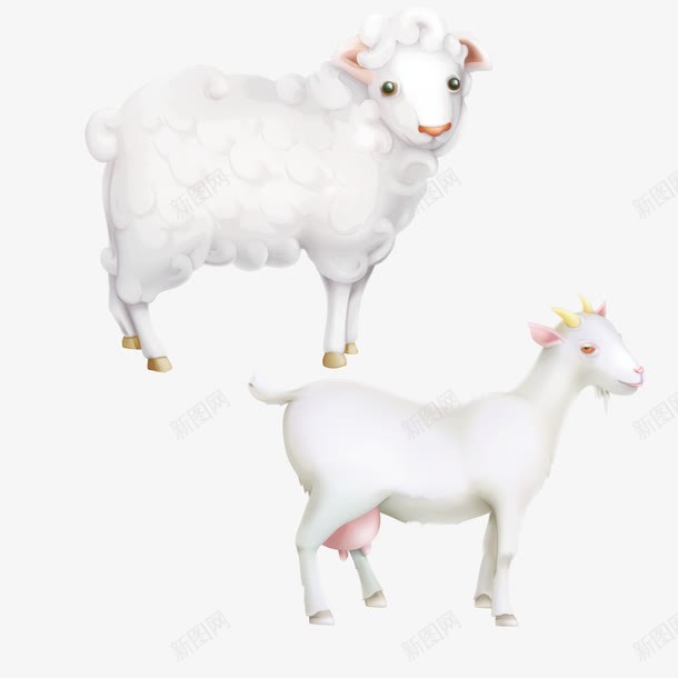 山羊和绵羊png免抠素材_新图网 https://ixintu.com 卡通 奶羊 小白羊 山羊 手绘 矢量羊 绵羊