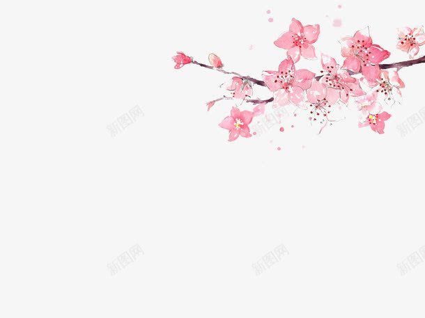 三月桃花png免抠素材_新图网 https://ixintu.com 唯美 手绘 桃花 水彩 花卉 花朵