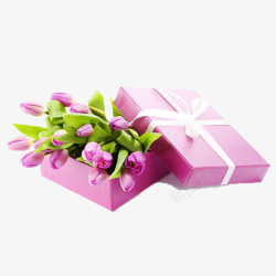 白色郁金香粉色清新玫瑰花礼盒高清图片