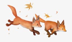 追逐理想追逐的狐狸高清图片