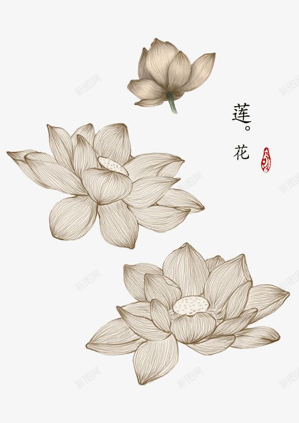 白色古风莲花手绘png免抠素材_新图网 https://ixintu.com 古风 白色 莲花