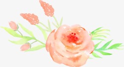 橙色玫瑰花装饰图案素材