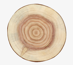 树木年轮卡其色波纹状中心的木头截面实物高清图片