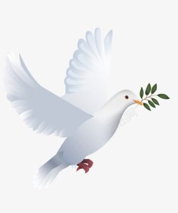 羽毛PNG素材白色叼着橄榄枝的和平鸽高清图片