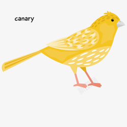 黄色鸟儿浅黄色金丝雀的手绘矢量图高清图片