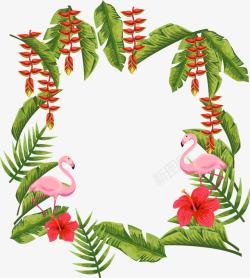 热带植物火烈鸟芭蕉叶串串红边框高清图片