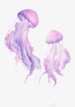 海洋水母手绘紫色水母高清图片