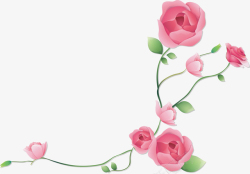 漂亮的叶子花瓣粉色玫瑰高清图片