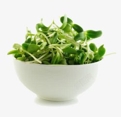 一碗绿豆芽素材