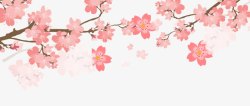 樱花节旅游背景粉色浪漫樱花节海报高清图片