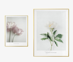 北欧粉色美丽花朵装饰画实物高清图片