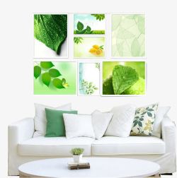 简单沙发墙绿色叶子照片墙高清图片