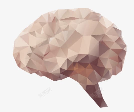 大脑png免抠素材_新图网 https://ixintu.com 几何图形 创意 脑子