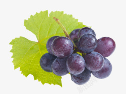 葡萄串免抠素材一小串水果葡萄叶子高清图片